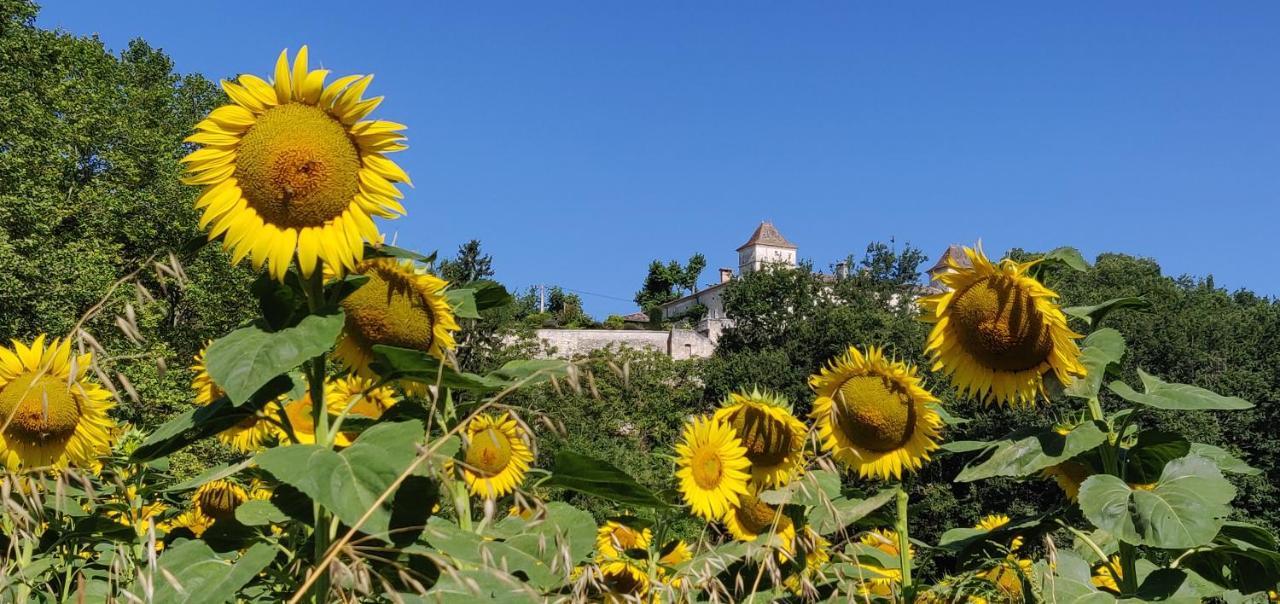 Manoir Le Bourg, Touffailles Villa ภายนอก รูปภาพ